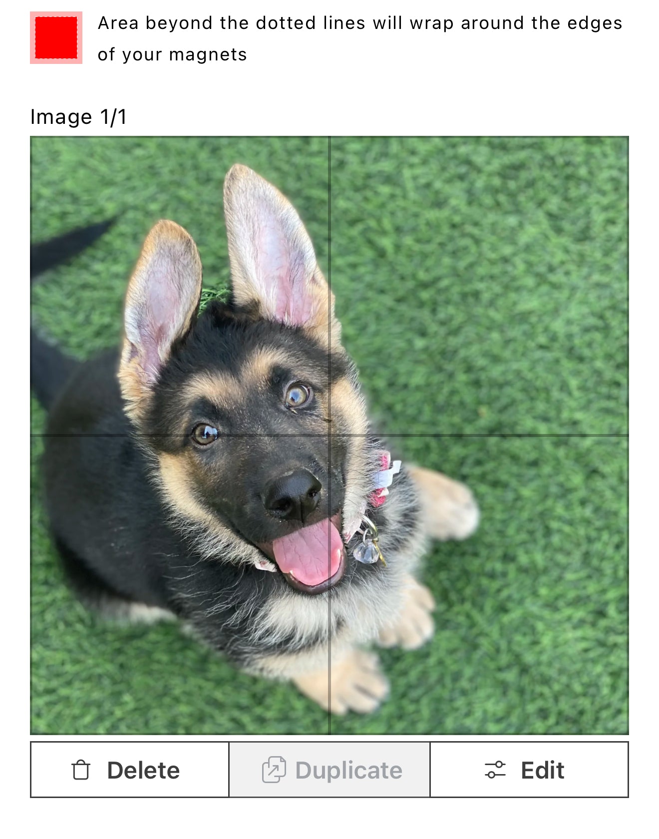 Personalized Magnetic Puzzles